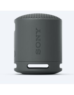 Sony Altavoz Bluetooth SRSXG300B.EU8 Negro