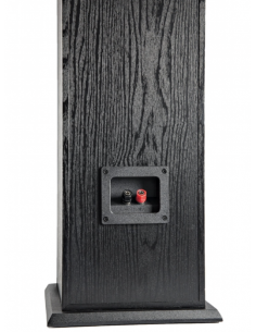 ALTAVOCES POLK T50 2