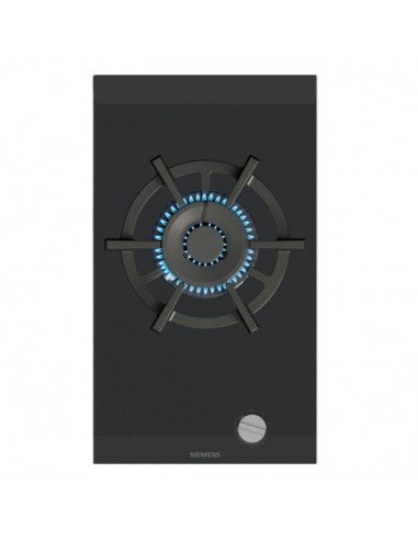 PLACA SIEMENS ER3A6AI10 GAS