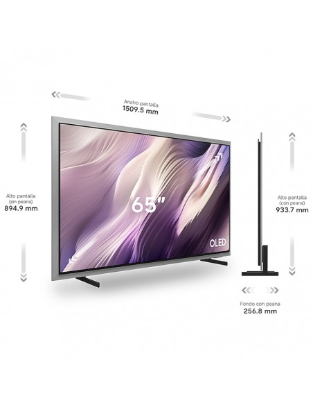 Medidas oficiales Samsung TQ65S99HATXXC